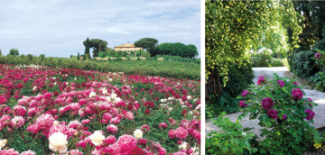 Domino-arredo-outdoor